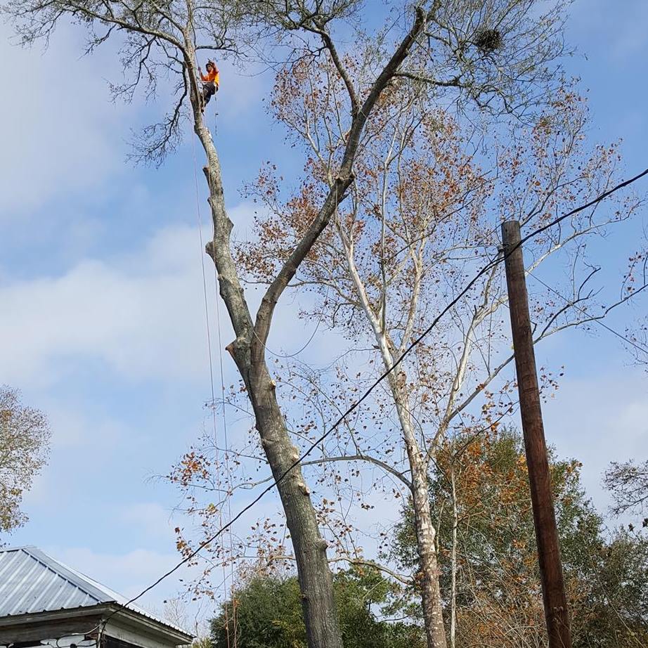 186474352 158326599629877 2759116307407767368 n