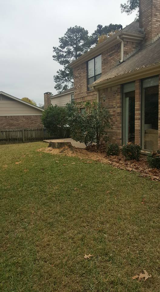 Garden with Shrubs and Neatly Trimmed Trees