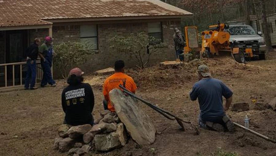 Additional Tree Services 2